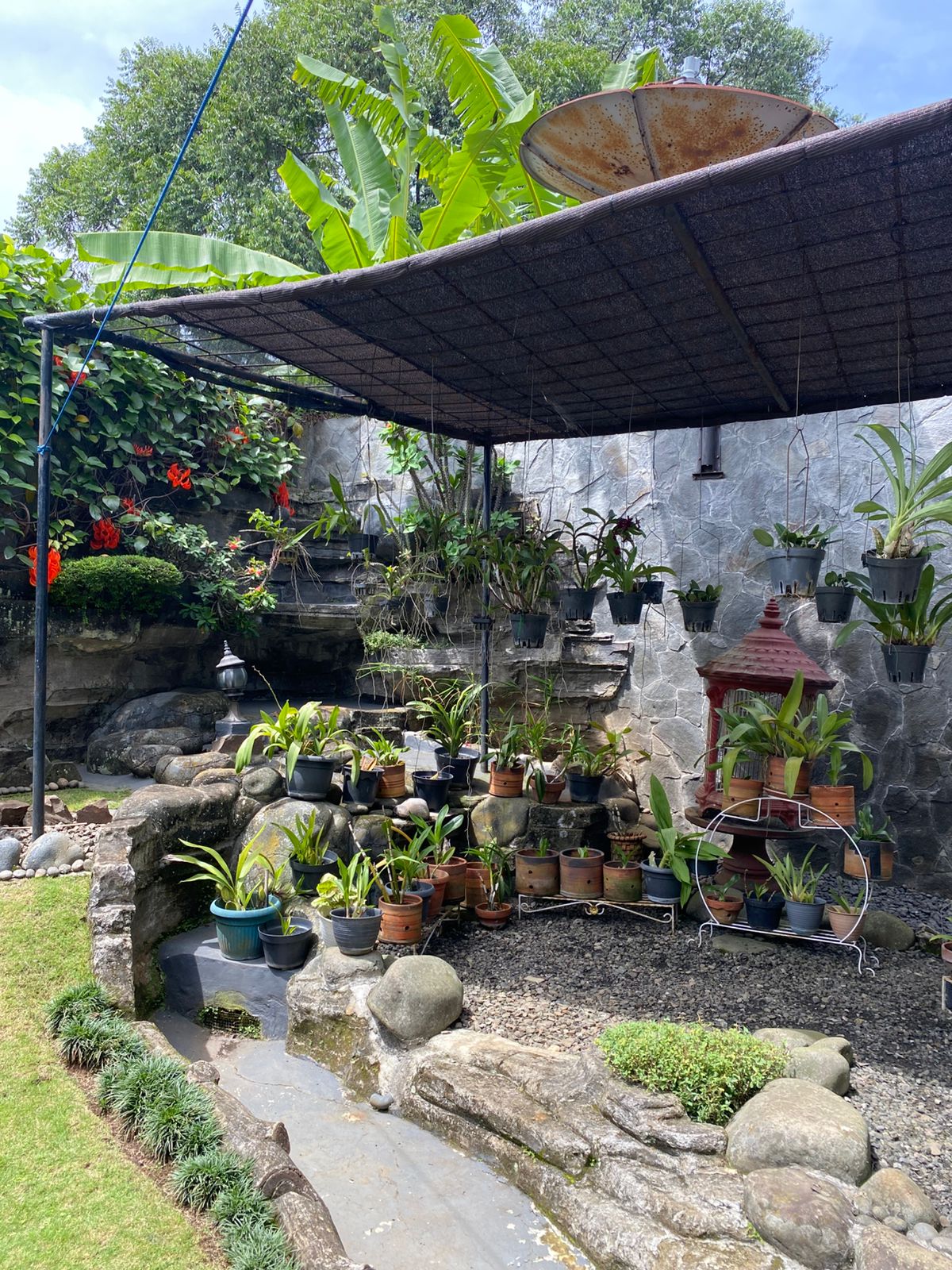 Tidak hanya pepohonan dan rumput hijau, di villa ini kamu juga disuguhi banyak hiasan tanaman bunga bunga lainnya yang gak kalah cantik