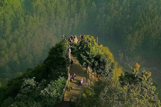 Taman Hutan Raya Juanda - Sewa Villa di Bandung