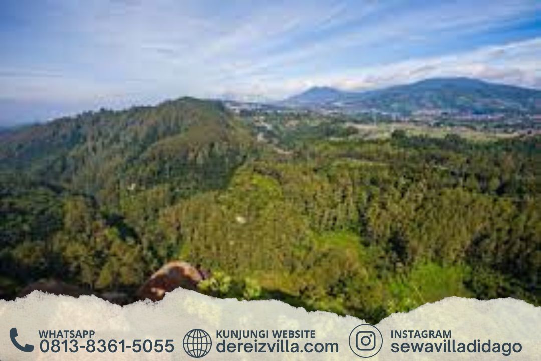 Menjelajahi Surga Dago Bandung – Retret Vila yang Tenang & Relaksasi