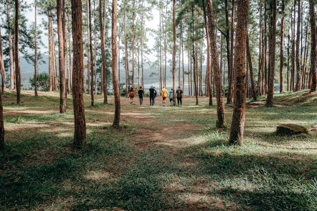8 Tempat Wisata Dekat Grafika Cikole