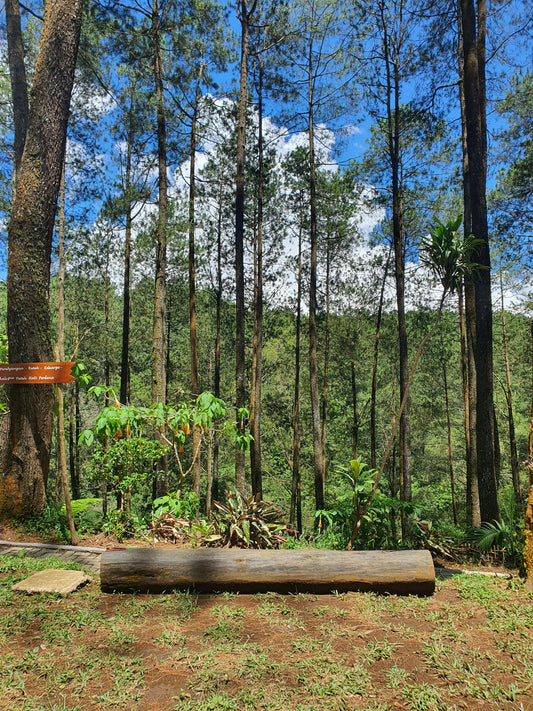 8 Wisata Bandung Terbaru 2026